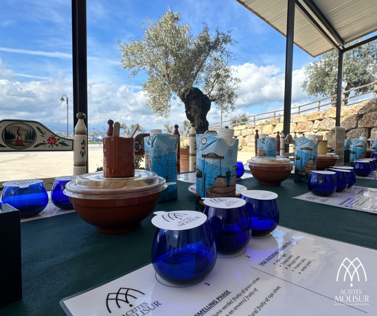 Diseno sin titulo 2025 03 04T184637.171 1 768x644