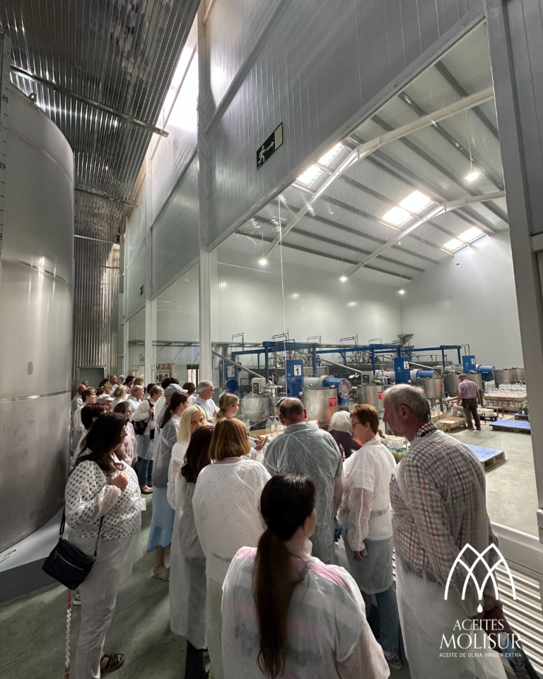 Diseno sin titulo 2025 10 19T182755.125 768x960