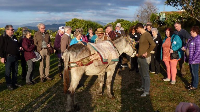 Finca ecologica juanito orange 10 1 1 768x432