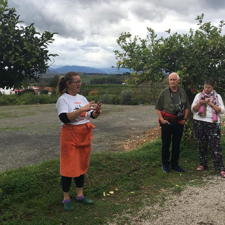 Finca ecologica juanito orange 6 1 768x768