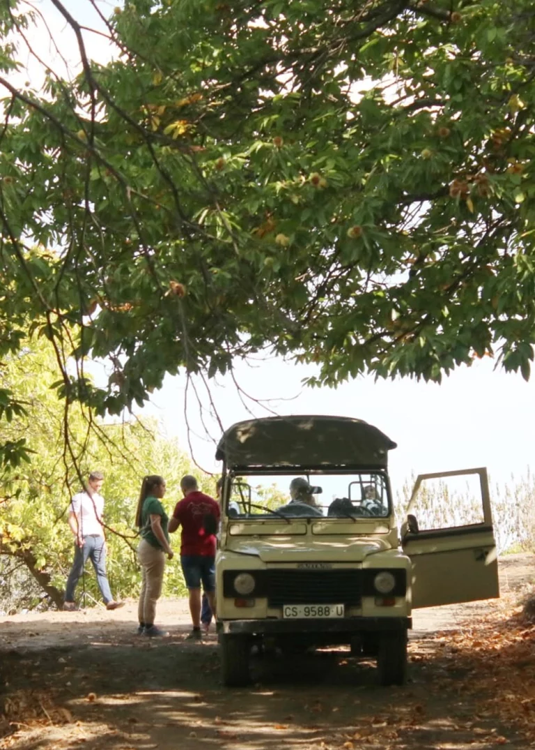 Ibericos Langenal Iberotur del Cerdo iberico 3 1 768x1075