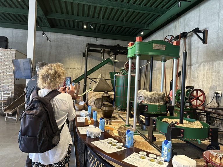 Molino aceitero Molisur 1 1 768x576