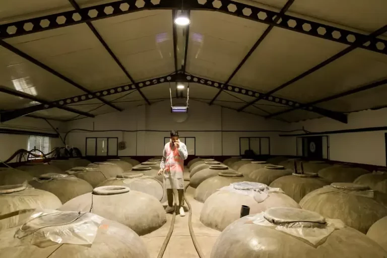 Visita a bodega y almazara 03 resultado 768x512