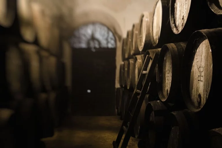 Visita a las Bodegas Halcon en Lebrija 1 1 768x512