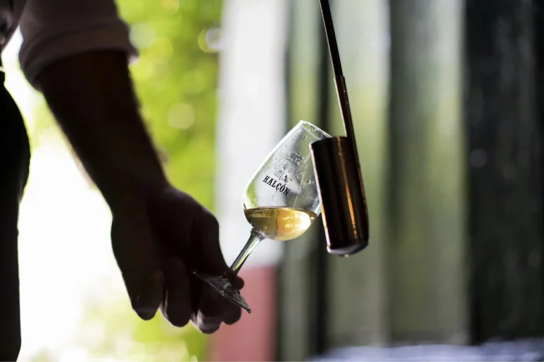 Visita a las Bodegas Halcon en Lebrija 2 2 768x512