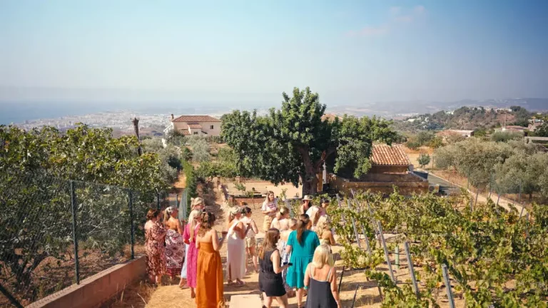 Visita a vinedos bodega cata maridada 2 768x432