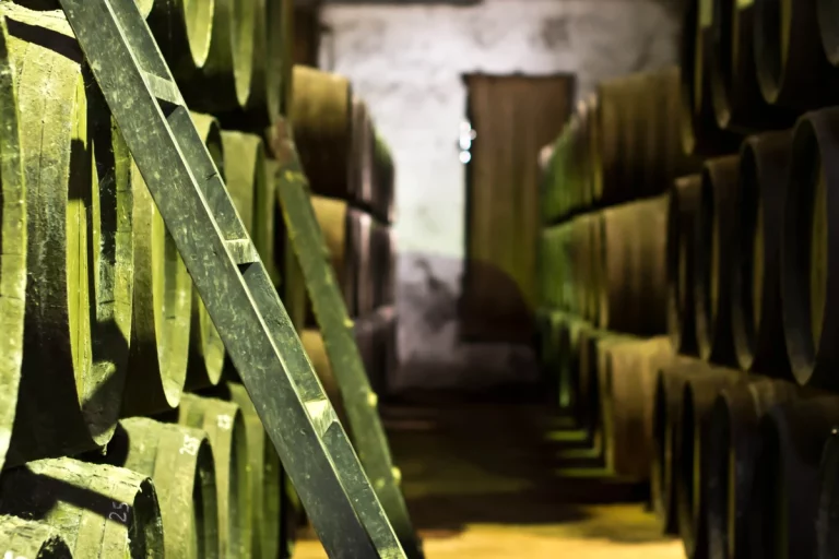 Visita y cata en bodega de Chiclana de la Frontera 2 1 768x512