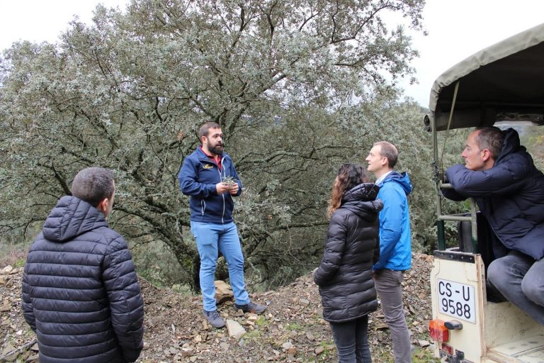 aprende cada curiosidad 768x512