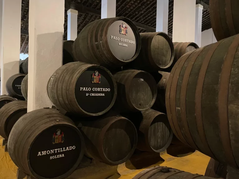 barriles bodega cayetano vino jerez tour 1 768x576