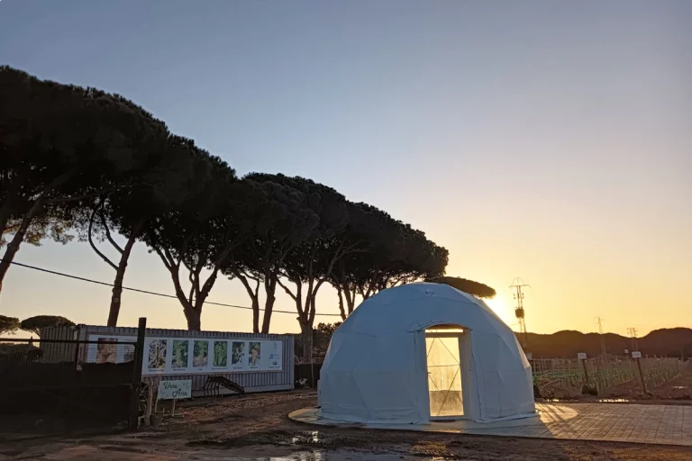carpa bodega visita guiada bodega chiclana de la frontera naturanda 1 768x512