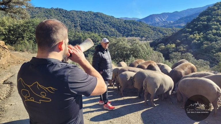 esencia langenal 1 768x432