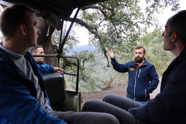 existe una gran variedad 768x512