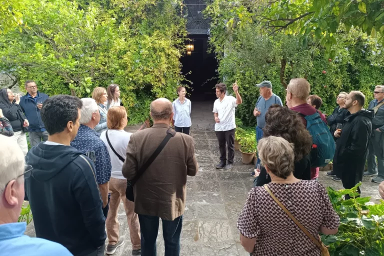 explicando proceso crecimiento uva para vino bodegas halcon lebrija sevilla visita guiada naturanda 1 768x512
