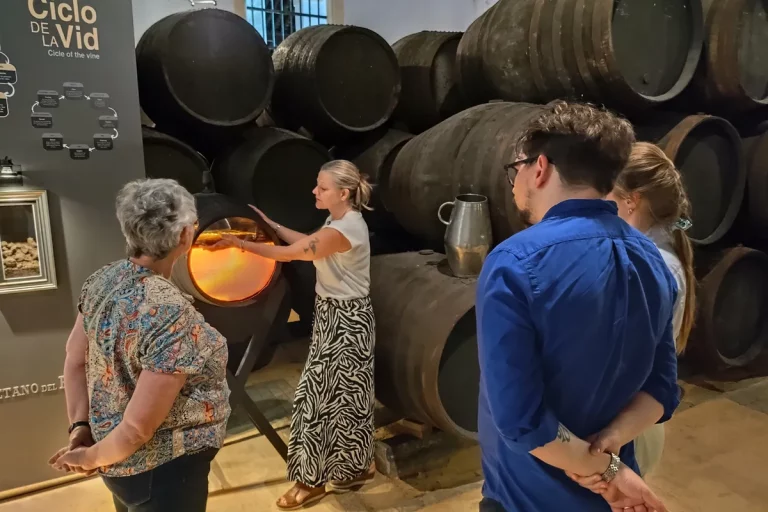 explicando proceso fermentacion vino en bodega cayetano pino visita guiada bodega jerez de la frontera 1 1 768x512