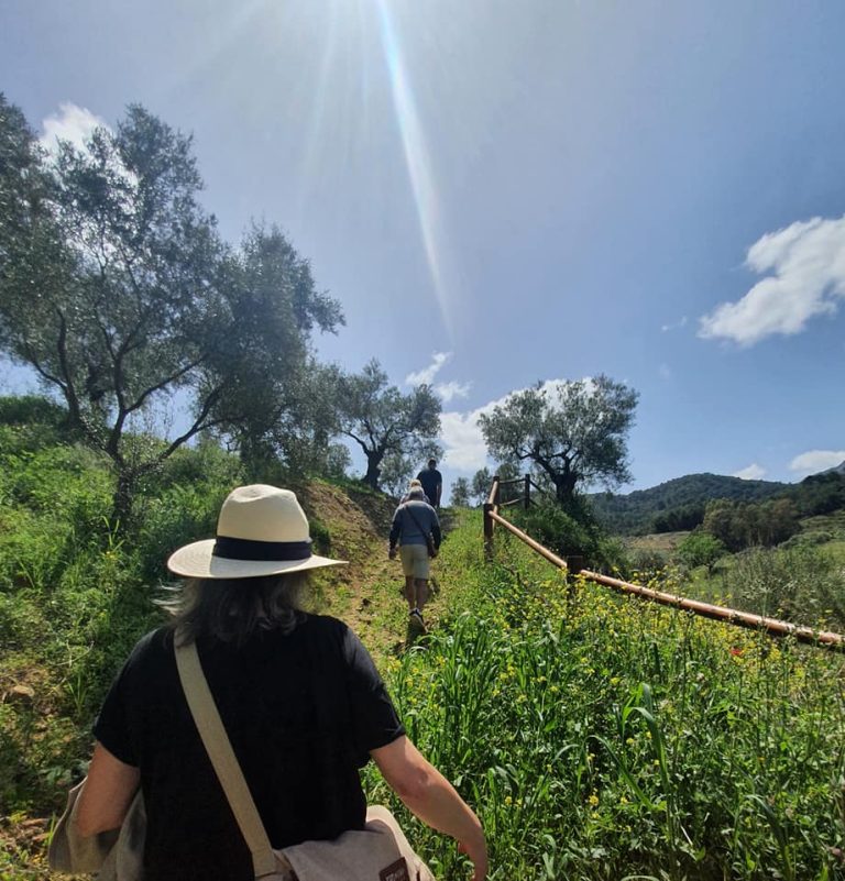 finca ecologica solmark 1 1 768x801