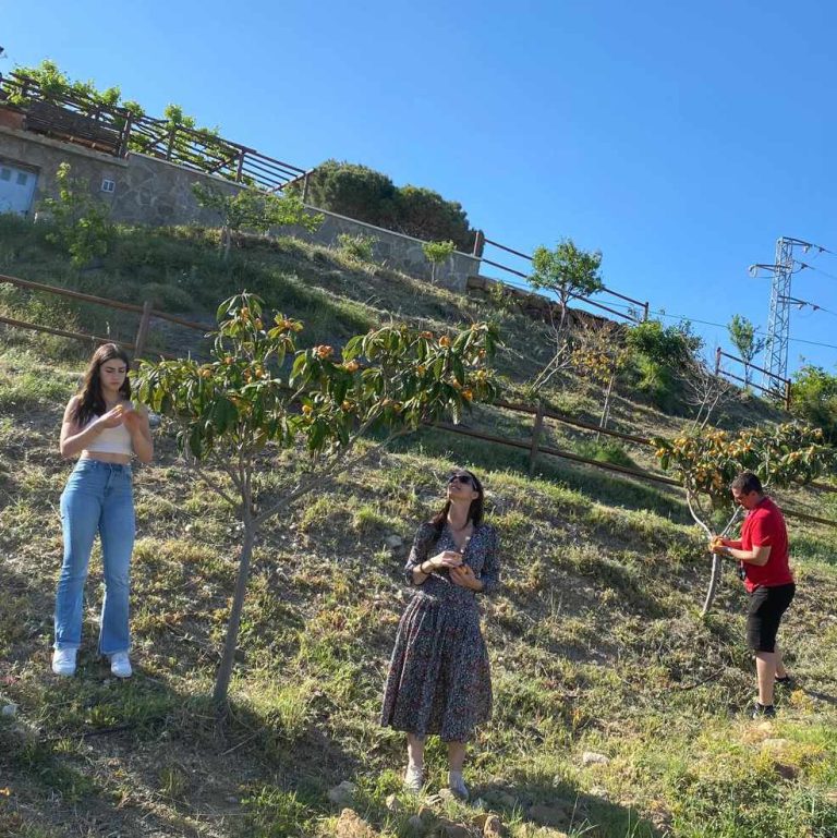 finca ecologica solmark 4 768x769