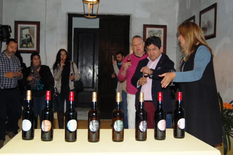 grupo degustando vino bodegas halcon lebrija sevilla visita guiada naturanda 1 1 768x512