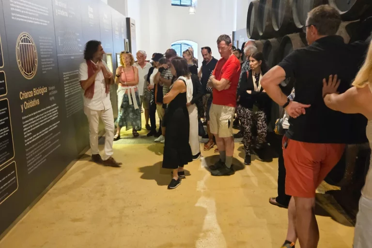 grupo escuchando explicacion bodega cayetano del pino visita guiada bodega jerez de la frontera 768x512