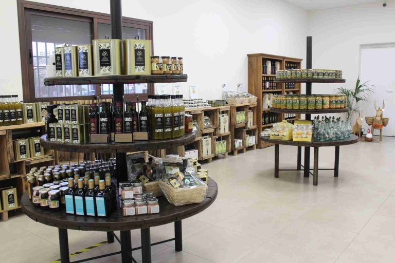 molino aceitero molisur visita guiada 1 768x512