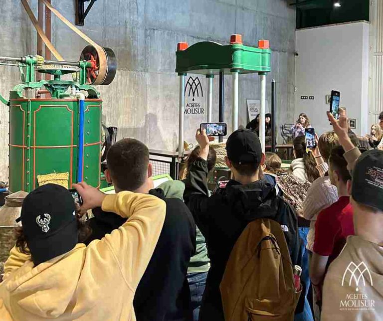 molino aceitero molisur visita guiada 2 768x644