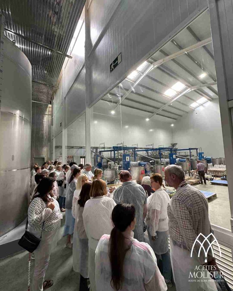 molino aceitero molisur visita guiada 4 768x960