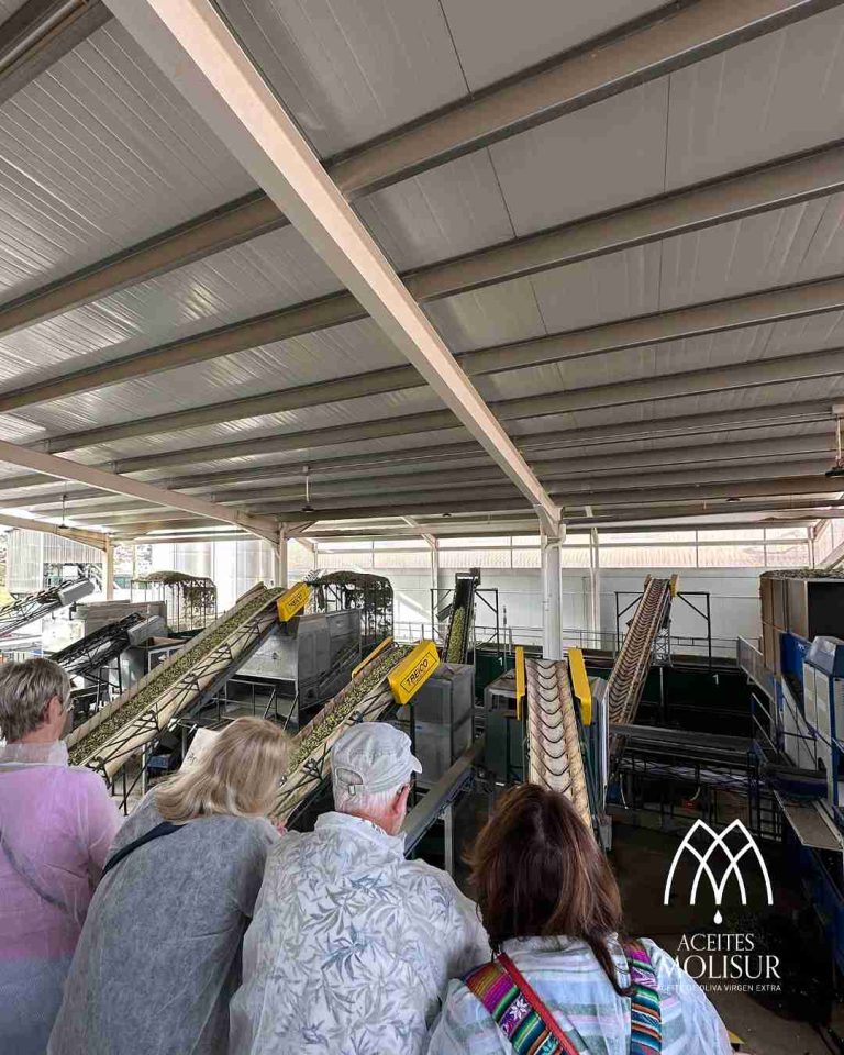 molino aceitero molisur visita guiada 5 768x960