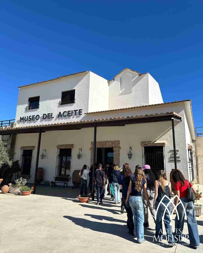 molino aceitero molisur visita guiada 6 768x960