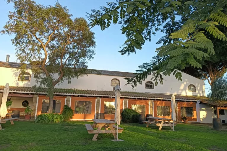 patio exterior bodega manuel aragon visita guiada bodega chiclana de la frontera naturanda 1 768x512