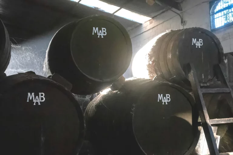 toneles bodega manuel aragon visita guiada bodega chiclana de la frontera naturanda 1 768x512