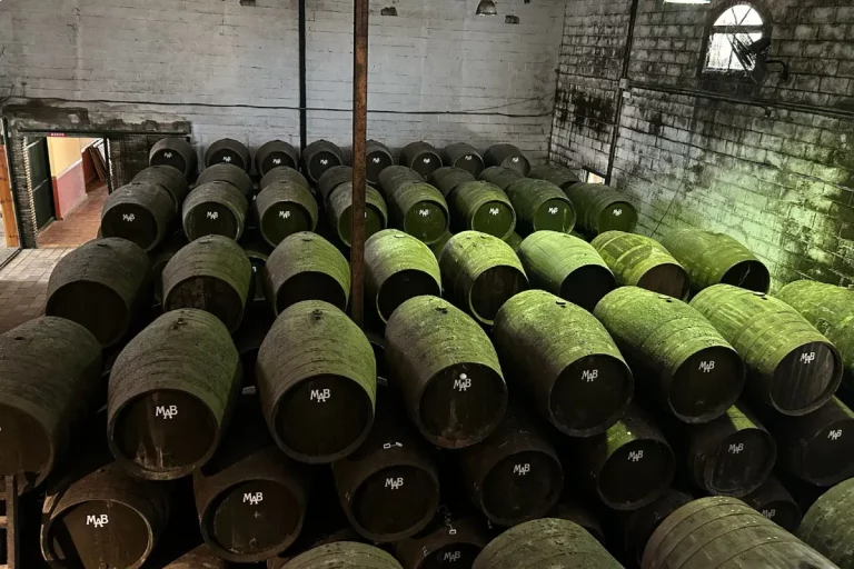 vino guardado en toneles visita guiada bodega chiclana de la frontera naturanda 1 1 768x512