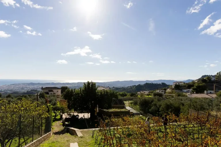 visita a vinedos bodega y cata Malaga 1 1 768x512
