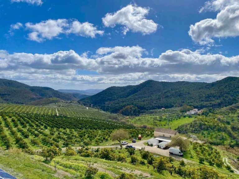 visita finca ecologica 6 1024x768 1 1 768x576