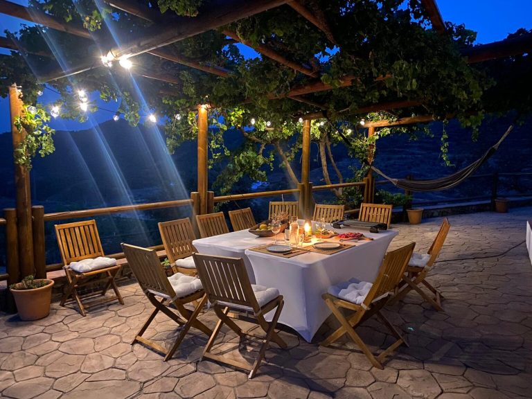 visita finca solmark 8 1536x1152 1 768x576