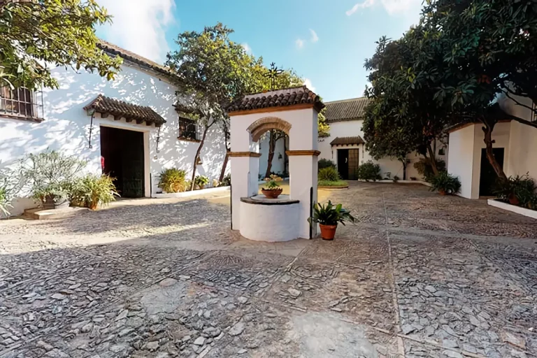 Visita guiada a Bodegas Barbadillo 1 1 768x512