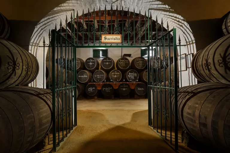Visita guiada a Bodegas Barbadillo 2 2 768x512