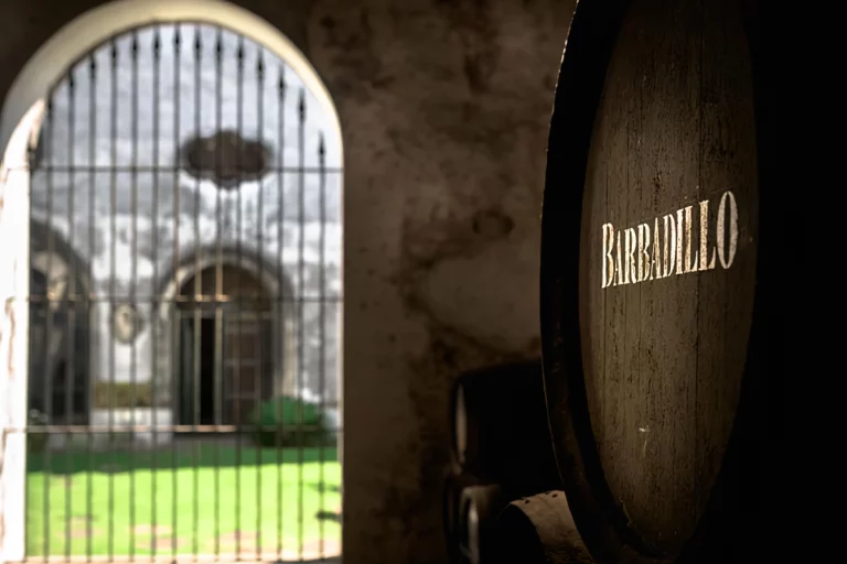 interior visita guiada bodega sanlucar barrameda cadiz 768x512