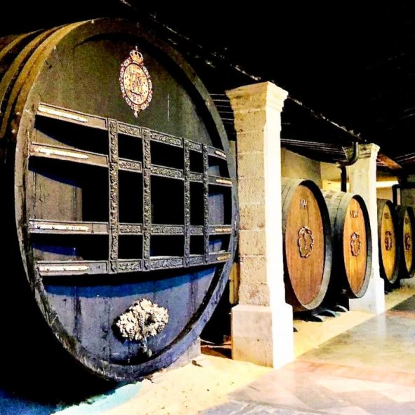 Excursión a Jerez desde Málaga con bodegas, catas y espectáculo ecuestre