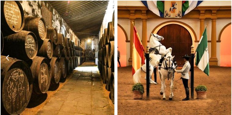 Excursión a Jerez desde Málaga con bodegas, catas y espectáculo ecuestre