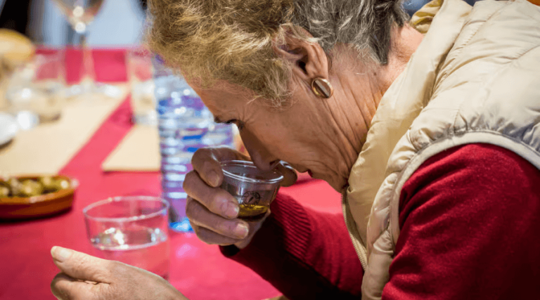 Cata de aceite y visita a almazara 768x427