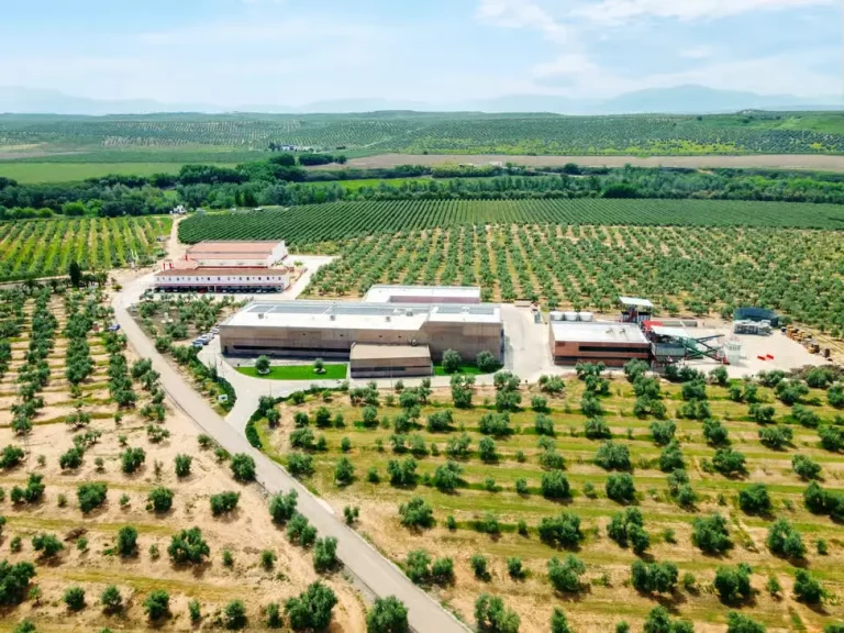 oleoturismo jaen ruta cata aove 5 1 768x576