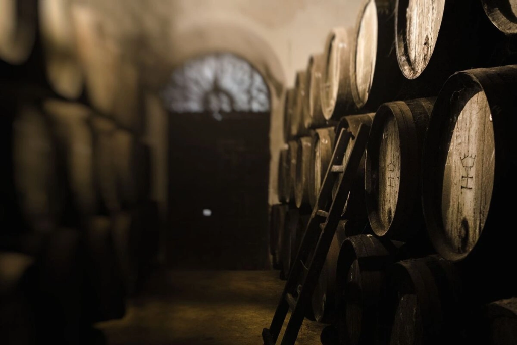 primera-cata-de-vinos